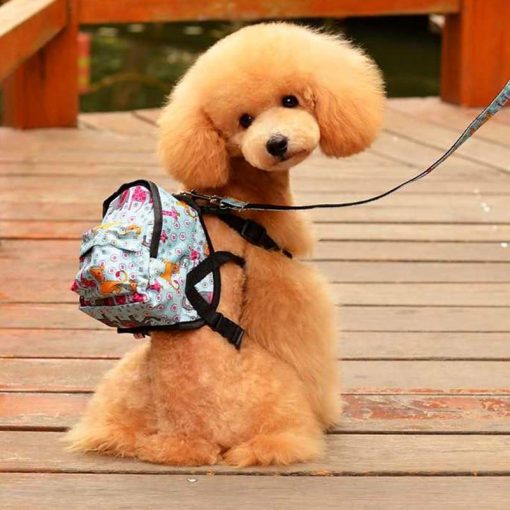 2020 Best Light, Comfortable and Cute Back Bag For Dogs 1