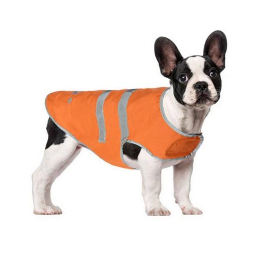 Best Waterproof Jacket For Winter Rainy Days (For Small & Medium Dogs) 1