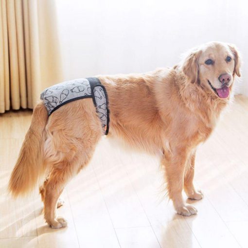 Best Nylon Soft and Easily Washable Pant For Female Dogs 1