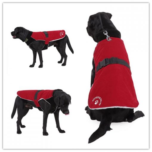 Best Winter Waterproof & Windproof Dog Jacket with Traction RIng 1