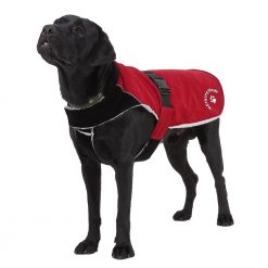 Best Winter Waterproof & Windproof Dog Jacket with Traction RIng 14