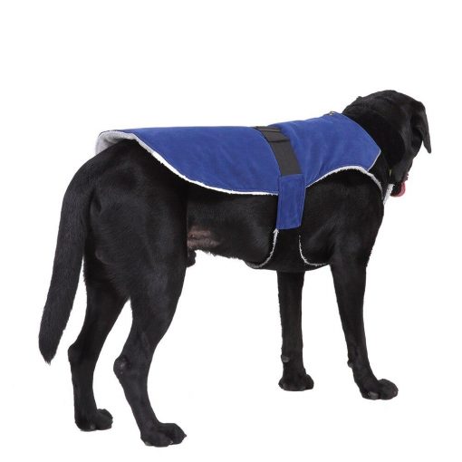 Best Winter Waterproof & Windproof Dog Jacket with Traction RIng 2