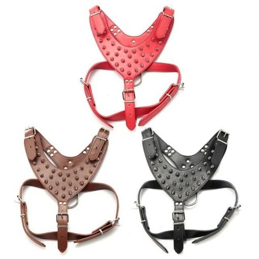 Spiked Dog Harness