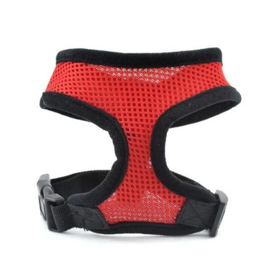 Colorful Breathable Dog Harness - Made of Durable & Soft Nylon 3