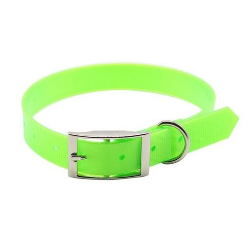 New Fashionable Nylon Dog Collar (HQ material + waterproof) 2