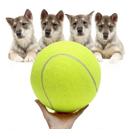 HQ Chew Tennis Ball For Dog - Perfect For Outdoors Activities 6