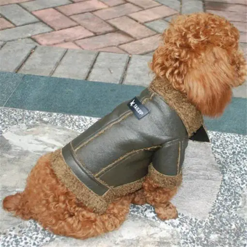 HQ Luxury Dog Winter Jacket (made of durable Fleece & Leather) 9