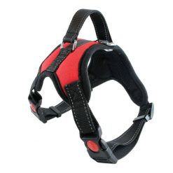 Adjustable Durable Dog Harness / Seat Belt / Leash (optional) 11