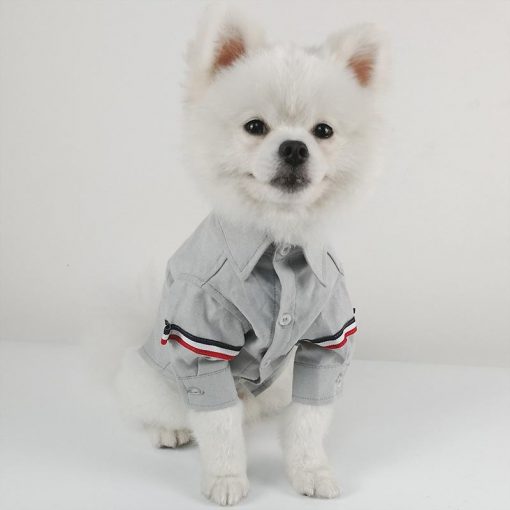 2020 New Stylish Costume For Dogs (3 style/5 size options) 6