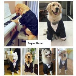 Classic Suit Costume For Medium & Larger Dogs (5 sizes) 19