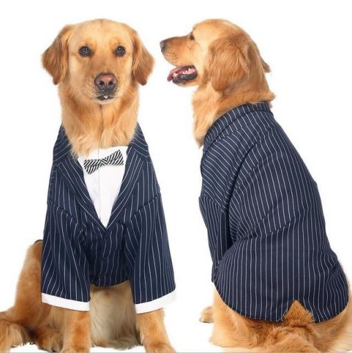 Classic Suit Costume For Medium & Larger Dogs (5 sizes) 8