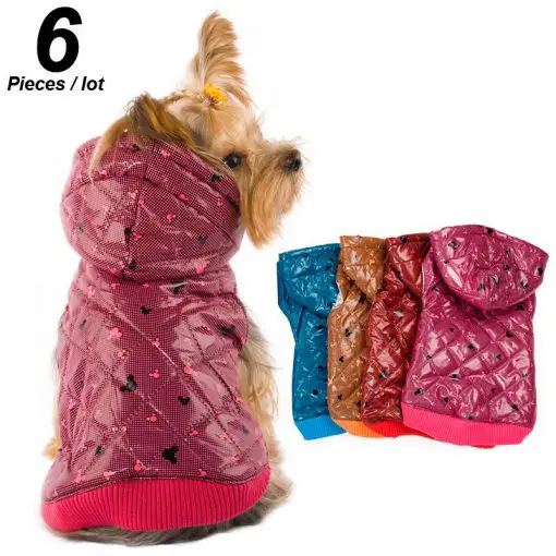 Best Thick Winter Coats For Medium and Small Dogs (6 pcs) 1