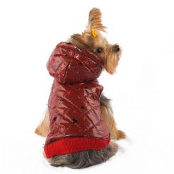 Best Thick Winter Coats For Medium and Small Dogs (6 pcs) 24