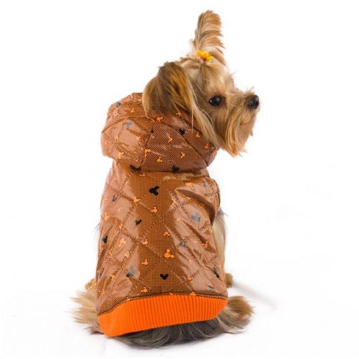 Best Thick Winter Coats For Medium and Small Dogs (6 pcs) 4