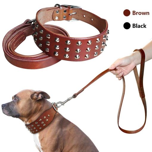 Luxury HQ Natural Leather Dog Collar and Leash (studded Collar) 1