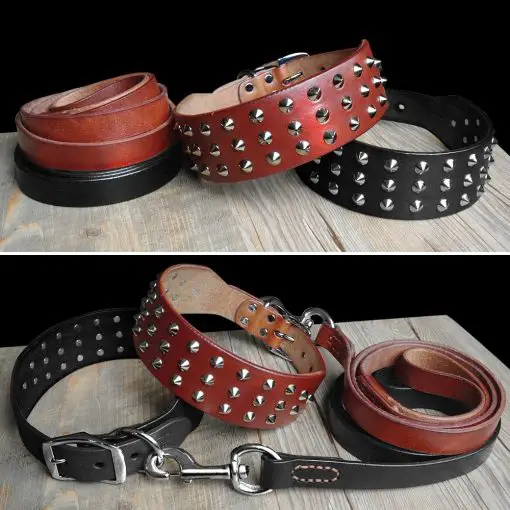 Luxury HQ Natural Leather Dog Collar and Leash (studded Collar) 5