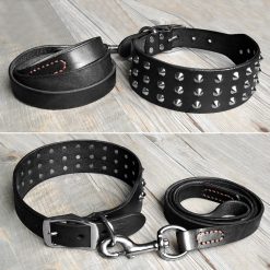 Luxury HQ Natural Leather Dog Collar and Leash (studded Collar) 9