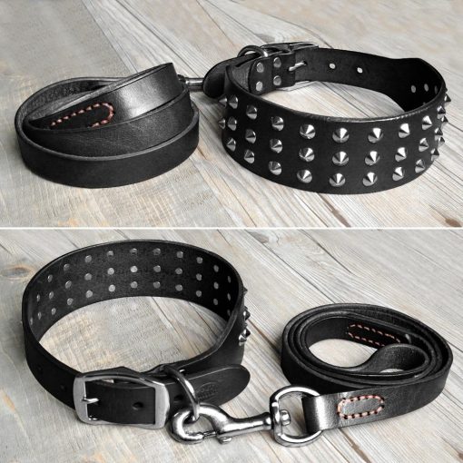 Luxury HQ Natural Leather Dog Collar and Leash (studded Collar) 3