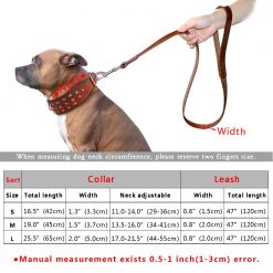 Luxury HQ Natural Leather Dog Collar and Leash (studded Collar) 10