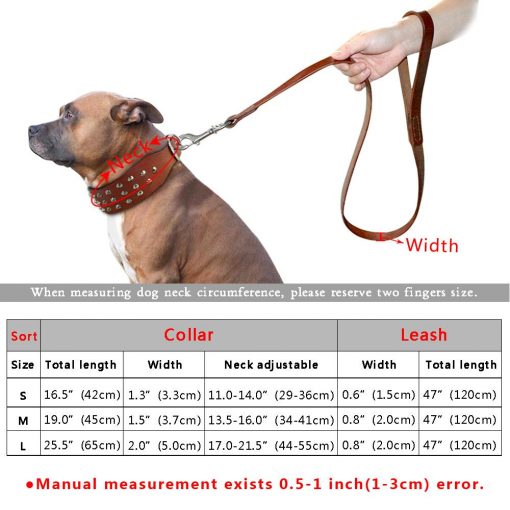 Luxury HQ Natural Leather Dog Collar and Leash (studded Collar) 4