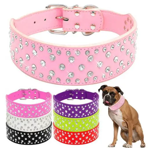 HQ Stylish Leather Dog Collar For Medium and Bigger Dogs 1