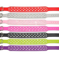 HQ Stylish Leather Dog Collar For Medium and Bigger Dogs 12
