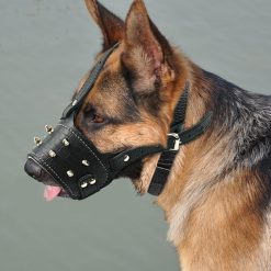 HQ Durable Leather Dog Muzzle (Anti Bark - Fits medium and large dogs) 17