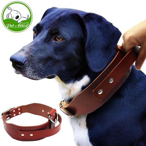 HQ Durable Leather Dog Collar With a Handle (medium/big dogs) 1