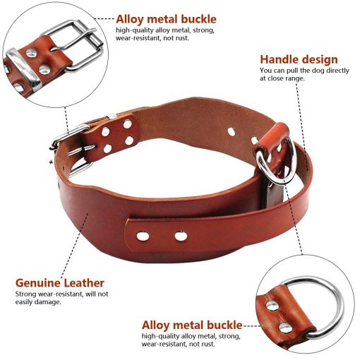 HQ Durable Leather Dog Collar With a Handle (medium/big dogs) 2