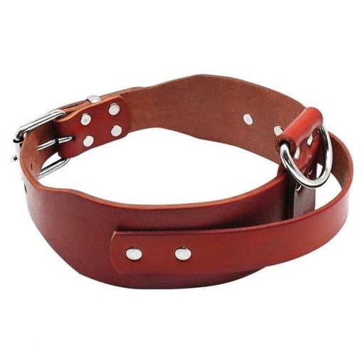 HQ Durable Leather Dog Collar With a Handle (medium/big dogs) 3