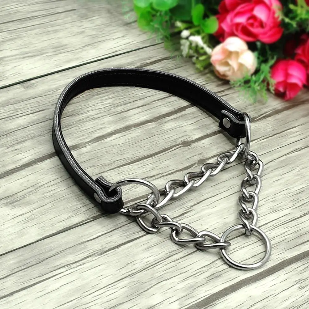 Durable & Comfortable Leather Dog Collar (multiple options)