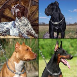 Easy Adjustable Dog Collar and Training Choker Medium and Bigger Dogs 12