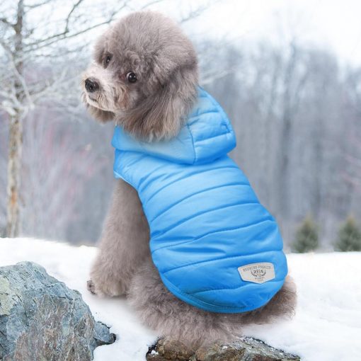 Best Winter Jacket For Small and Medium Dogs - Soft Cotton 3