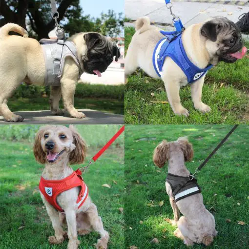 Comfortable Nylon harness + Leash For Smaller and Medium Dogs 8