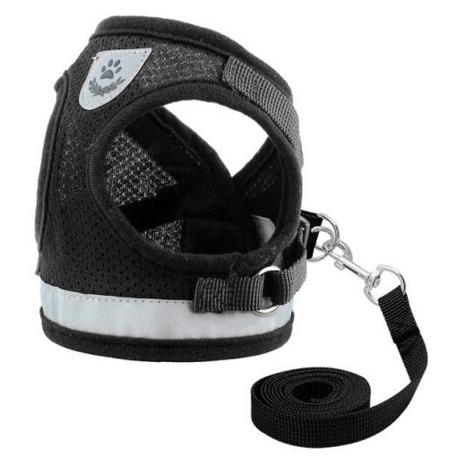 Comfortable Nylon harness + Leash For Smaller and Medium Dogs 4