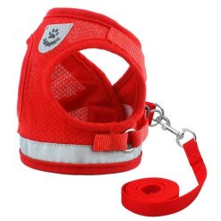 Comfortable Nylon harness + Leash For Smaller and Medium Dogs 11