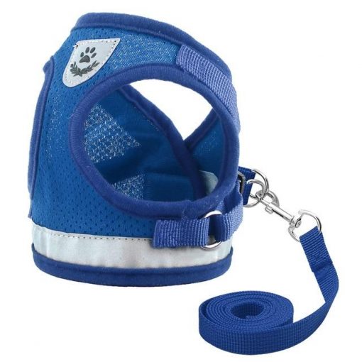 Comfortable Nylon harness + Leash For Smaller and Medium Dogs 2