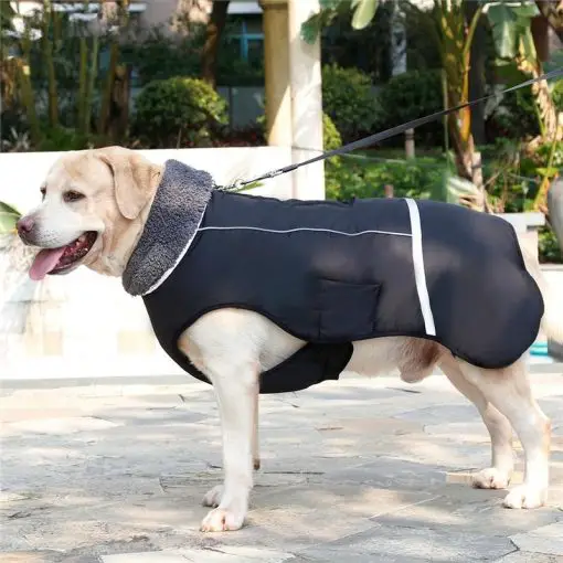 HQ Thick Waterproof Raincoat & Jacket For Medium/Large Dogs 18