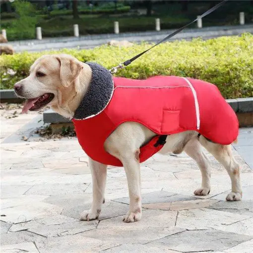 HQ Thick Waterproof Raincoat & Jacket For Medium/Large Dogs 13