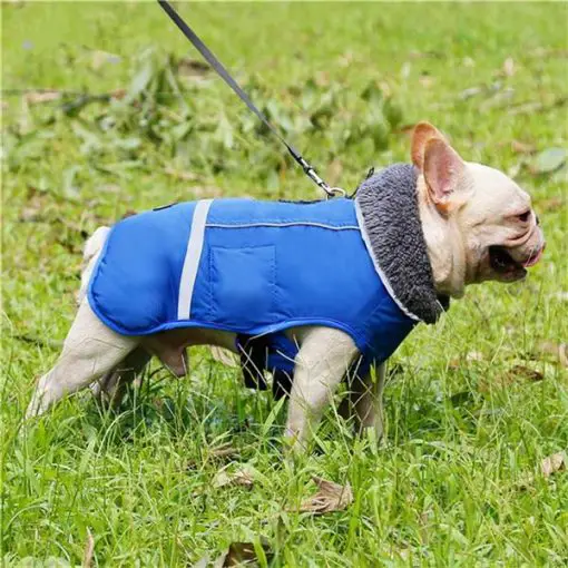 HQ Thick Waterproof Raincoat & Jacket For Medium/Large Dogs 15