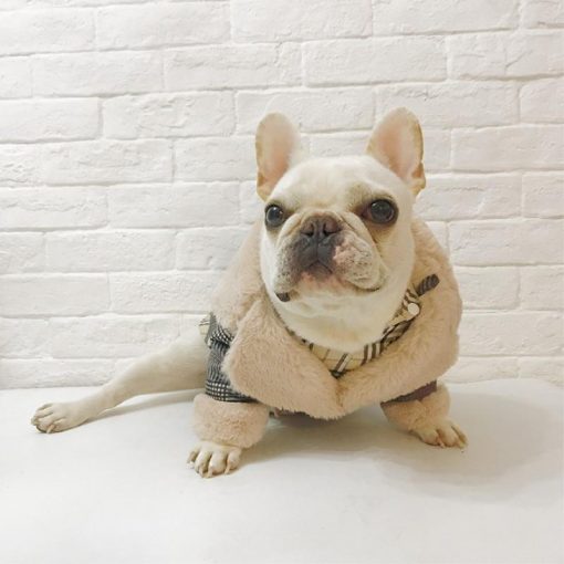 winter sweater for dogs