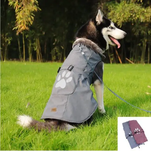HQ Durable Made of Fleece Jacket For Medium/Larger Dogs 1