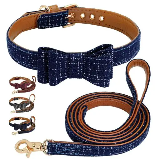Fashionable Dog Bow Tie Collar and Leash For Smaller and Medium Dogs 1