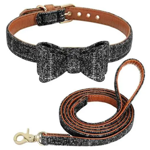 Fashionable Dog Bow Tie Collar and Leash For Smaller and Medium Dogs 3