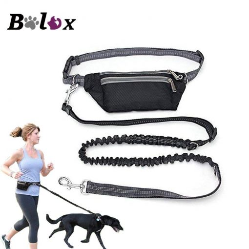 Best Heavy Duty Stretchable Dog Leash & Pocket For Running 1