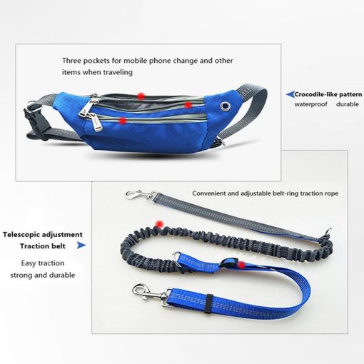 Best Heavy Duty Stretchable Dog Leash & Pocket For Running 2