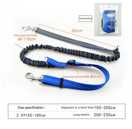 Best Heavy Duty Stretchable Dog Leash & Pocket For Running 4