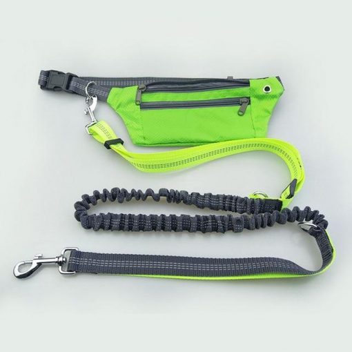 Best Heavy Duty Stretchable Dog Leash & Pocket For Running 7