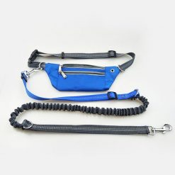 Best Heavy Duty Stretchable Dog Leash & Pocket For Running 19