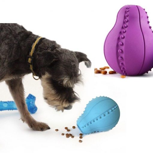 Cool 2 in 1 Dog Toy and Treat Dispenser (easy to clean / non- toxic) 1